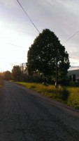 /album/michalova/a2013-06-11-20-05-35-jpg/